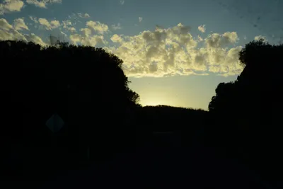 ENSC00925.jpg